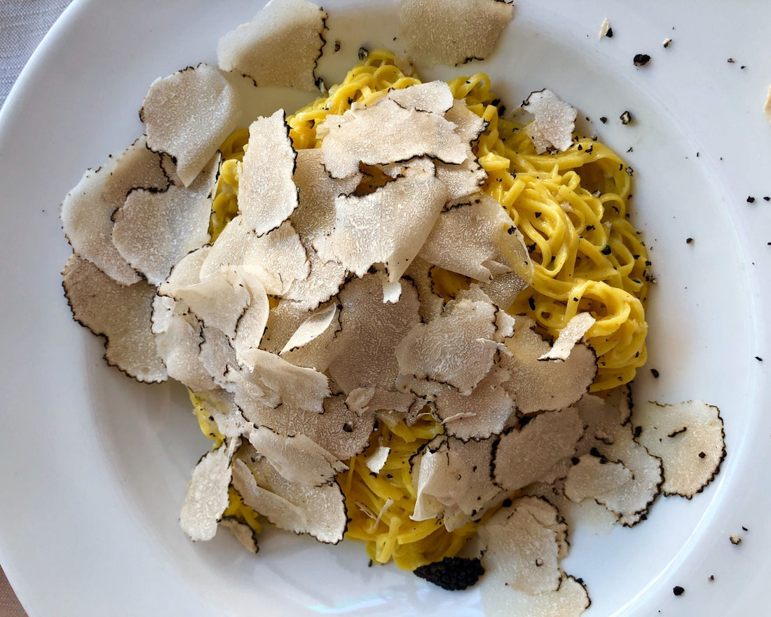 Black Gold Rush: The Truffle That Put Alba on the Map